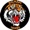 Balmain Ryde Eastwood Tigers