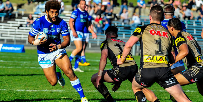 Crowd favourite Junior Roqica takes on the Penrith defense during last Saturday’s hard fought victory at Henson Park. Photo: Gary Sutherland Photography
