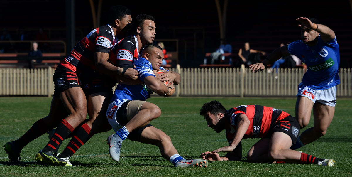 Newtown Jets centre Latrell Schaumkel is wrapped up by these North Sydney Bears defenders in Sunday’s Canterbury Cup fixture played at North Sydney Oval. Photo: Michael Magee Photography.